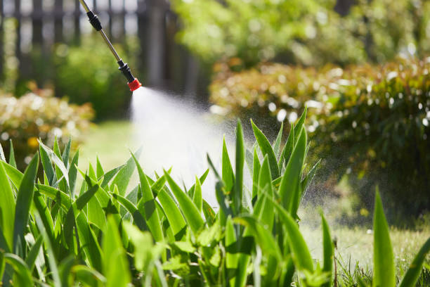 24/7 Emergency Fumigation Services experts in East Griffin, GA